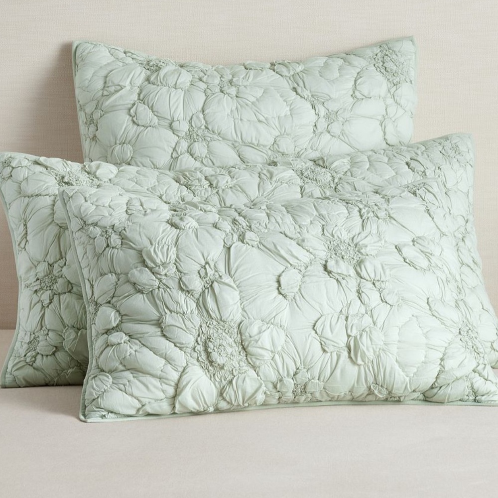 Pottery Barn Monique Lhuillier Marguerite Quilted Shams Set Standard Size NEW
